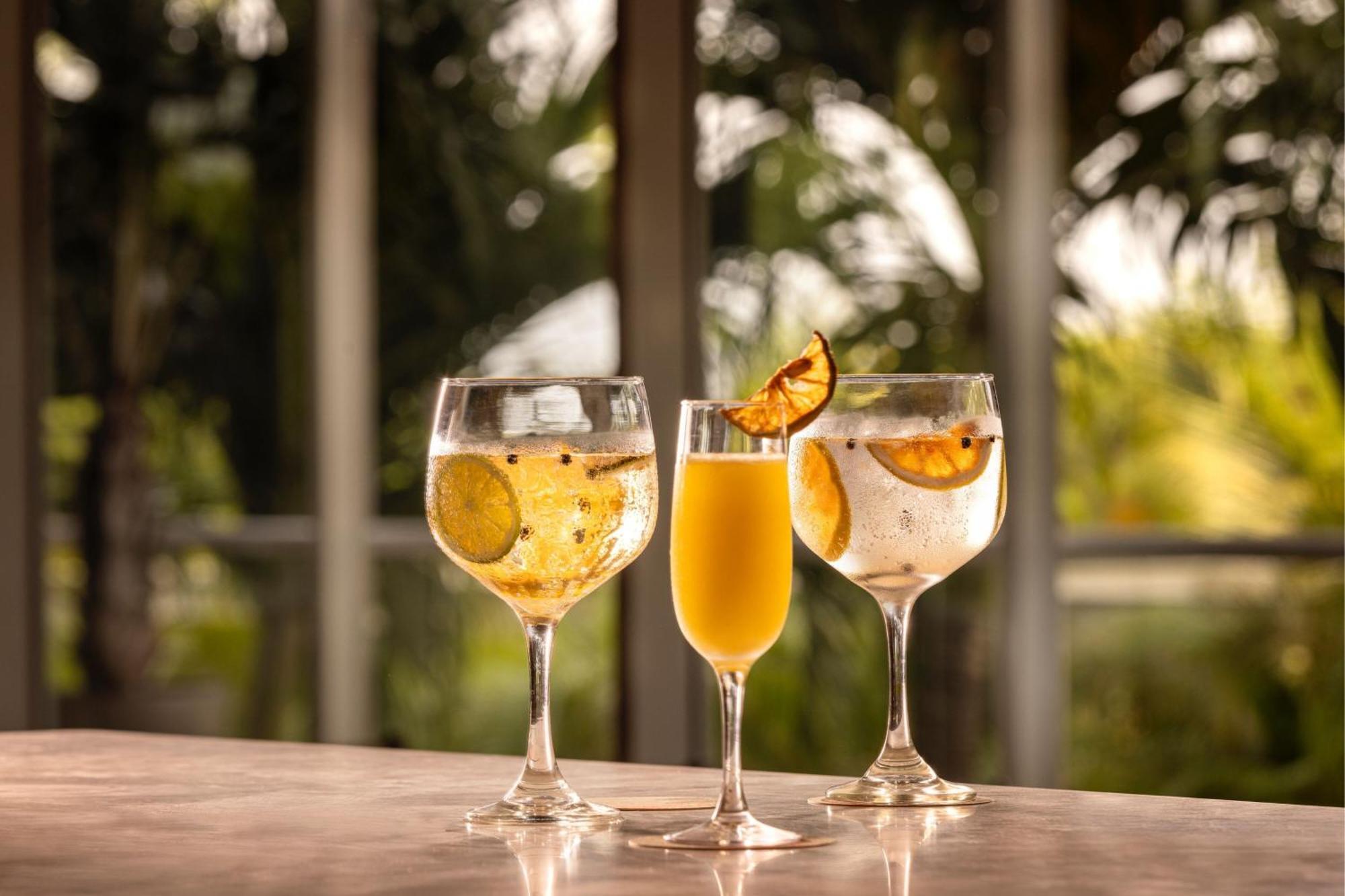 Santa Marta Marriott Resort Playa Dormida Екстериор снимка Glasses of ginger beer